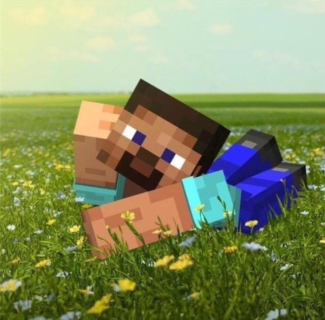 Minecraft Full Access